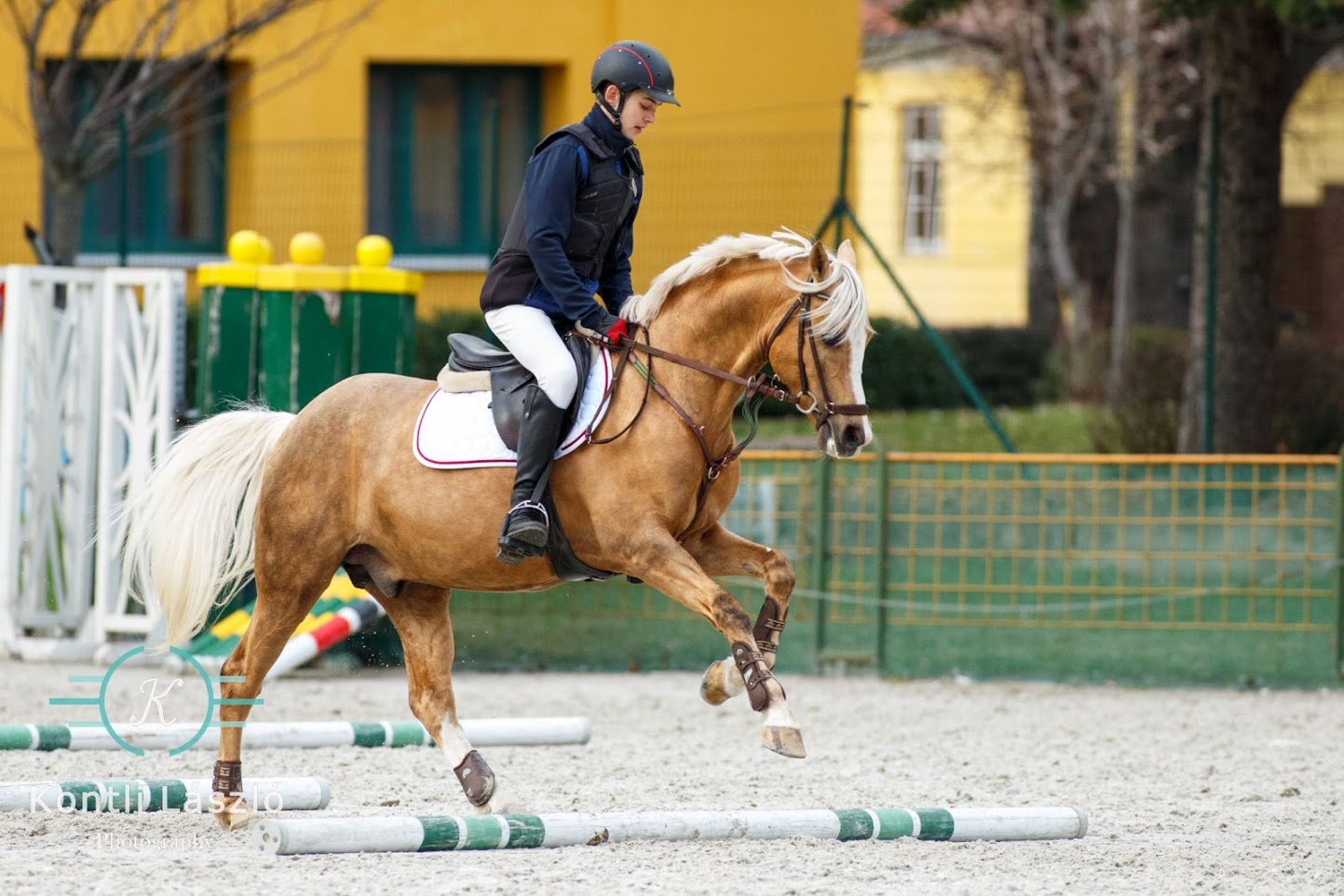 Cavaletti Training