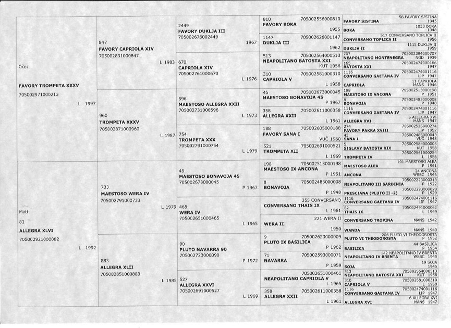 Pedigree 593 F. Allegra